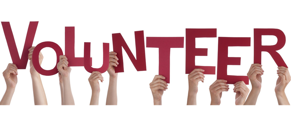 Concession Volunteer's Needed